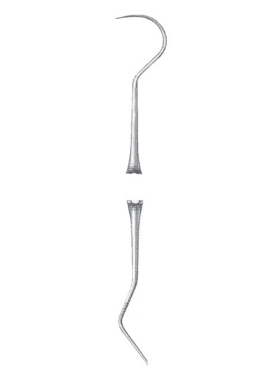 RE-DM-1556