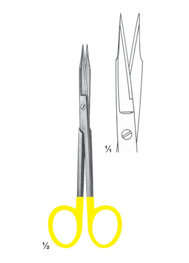 RE-DM-2831