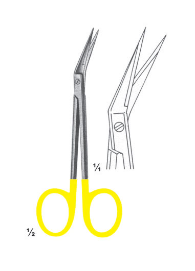 RE-DM-2835